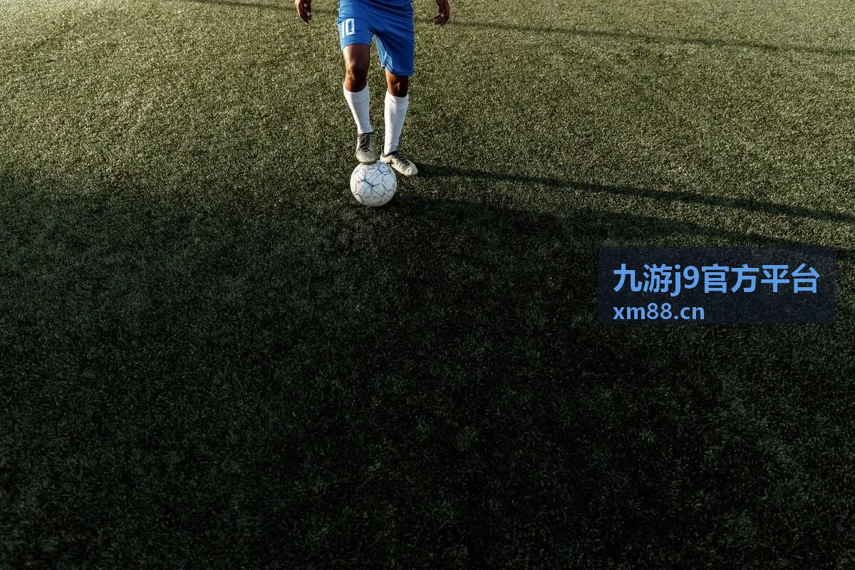 九游j9官方平台休闲娱乐游戏封面